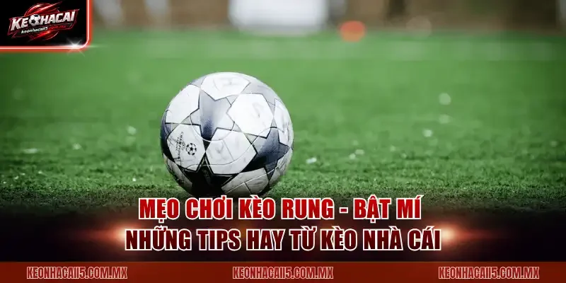 Mẹo Chơi Kèo Rung