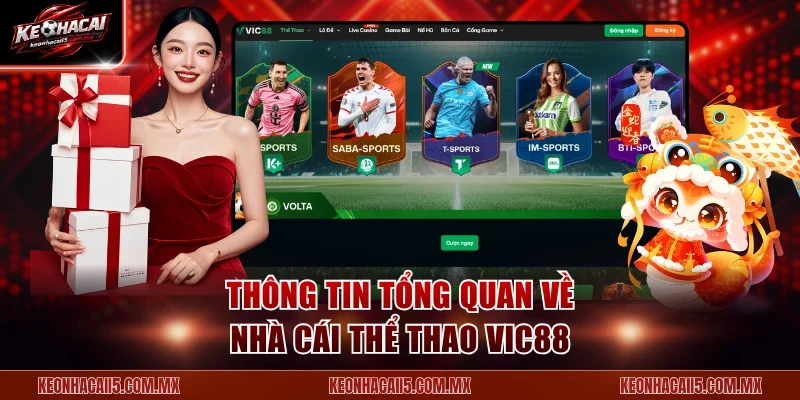 Thông tin tổng quan về nhà cái thể thao VIC88